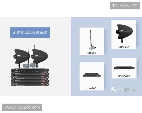 探索金赞的传奇故事与品牌背后的成功秘诀